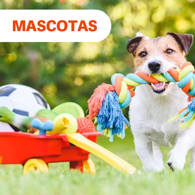 Mascotas